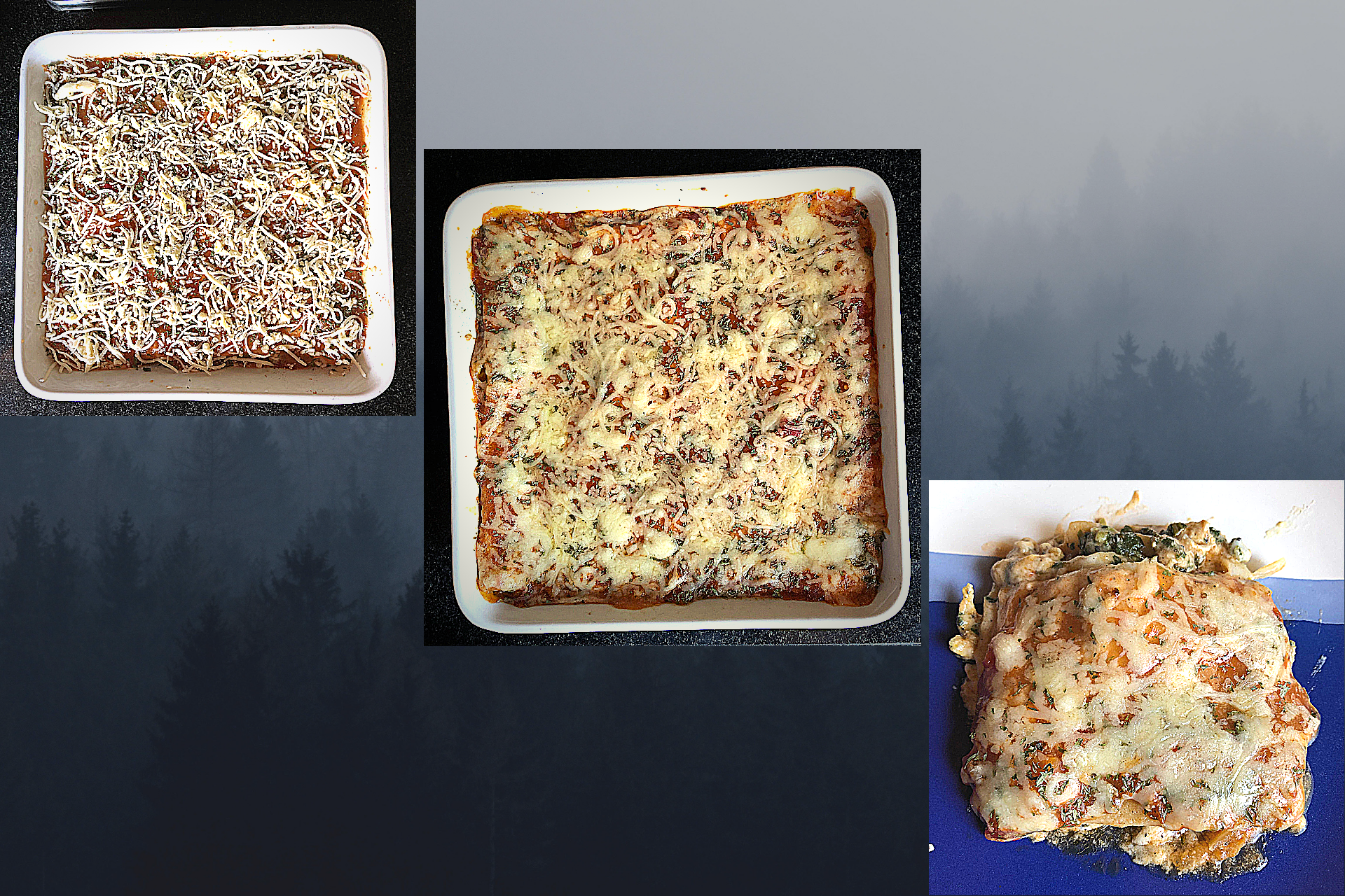 Vegetable Lasagna